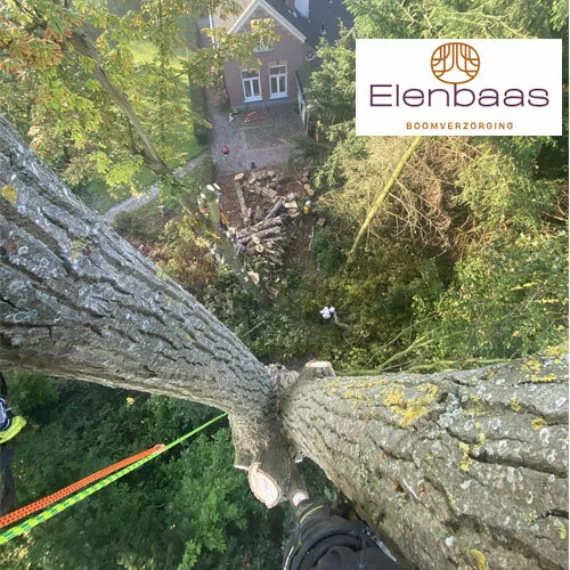 portfolio sliderfoto van Webburo Spring BV