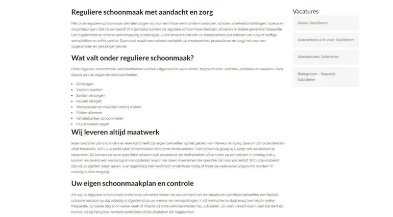 Bens thuiszorg schoonmaak diensten portfolio webburo spring horizontaal2