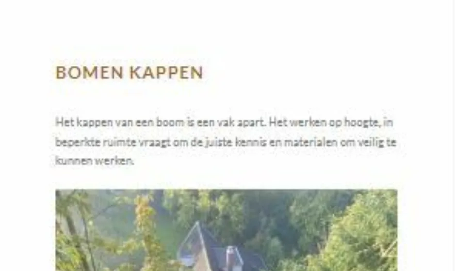 Elenbaas Boomverzorging portfolio webburo spring verticaal 1