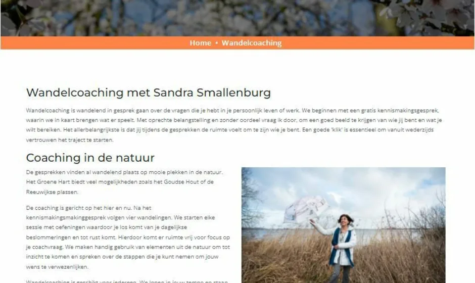 Coaching en route portfolio verticaal 1 webburo spring