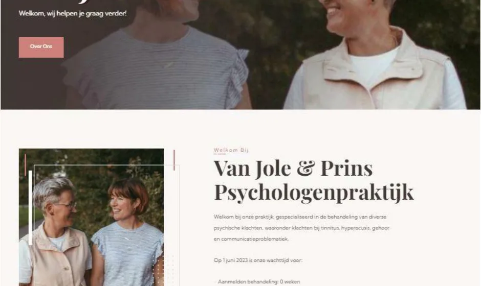 Van jole prins portfolio verticaal 1 webburo spring