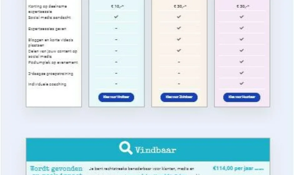 Verschil in zaken portfolio verticaal 1 webburo spring