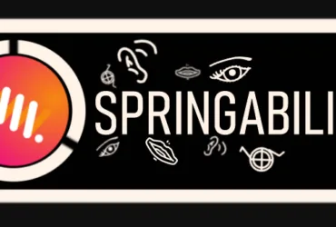 Toegankelijkheidstool van Webburo Spring BV