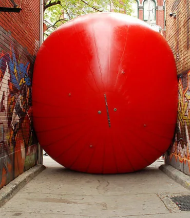 Vermijdt te grote header foto's Webburo Spring BV